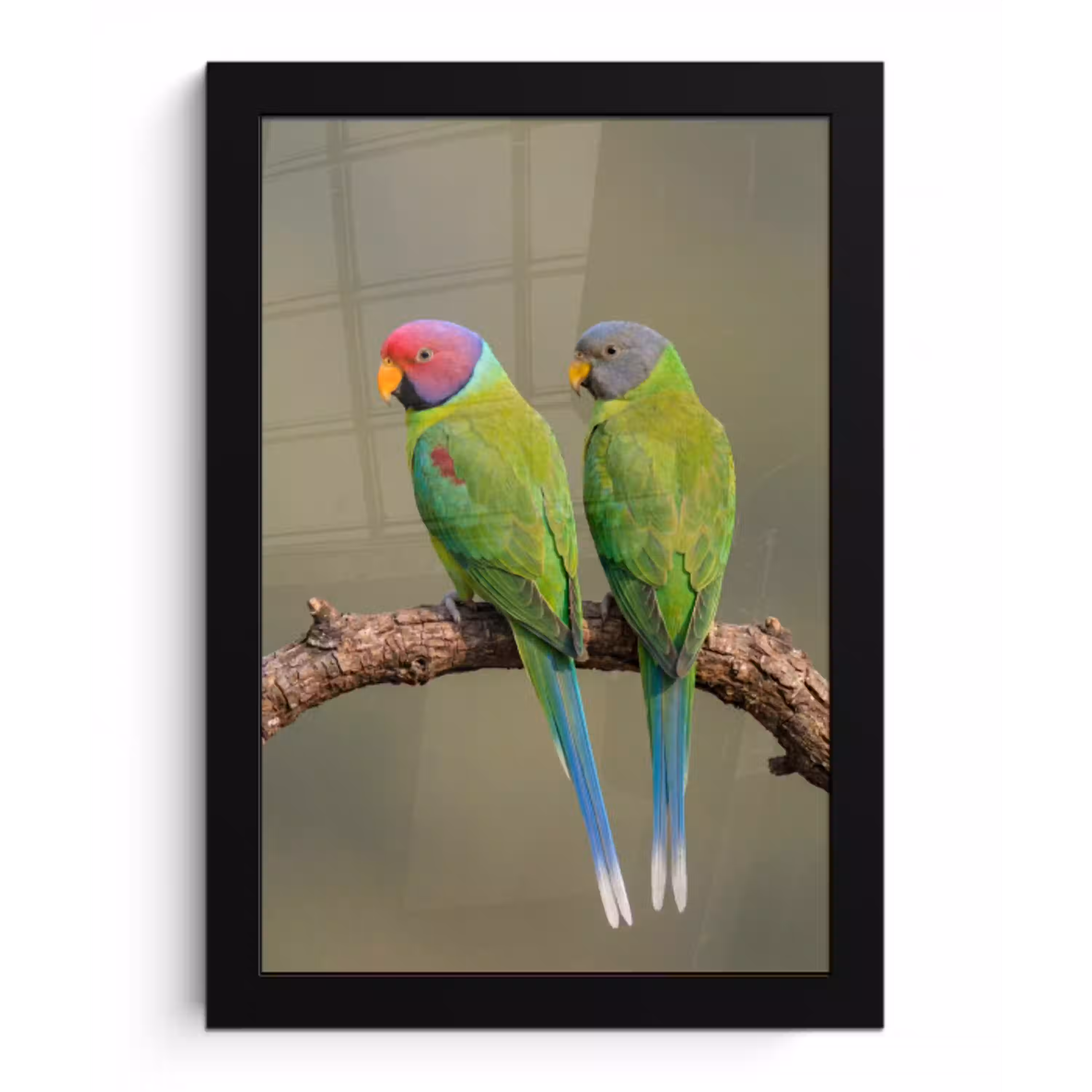 Papagaai - Tak - Natuur - Kleurrijk fotolijst zwart zonder passe partout klein -3d