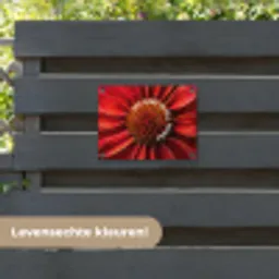 Close up - Bloem - Quote - Rood tuinposter los doek klein -sfeer3