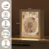 Paardenbloem - Bloemen - Natuur - Bruin Light Box met kabel (Tafellamp) klein -USP_NL