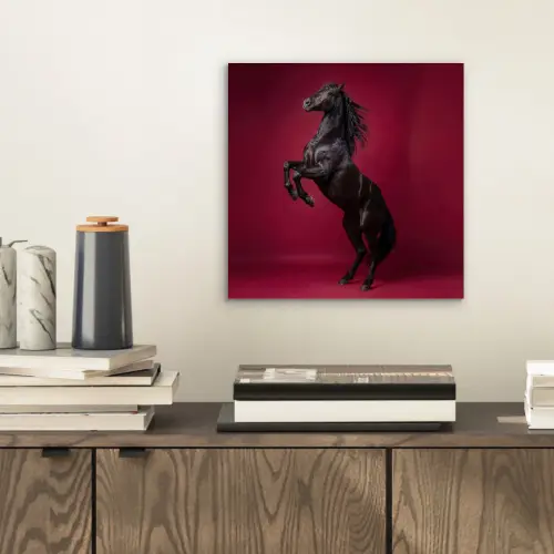 Hengst - Steigert - Rood aluminium wit klein -sfeer1