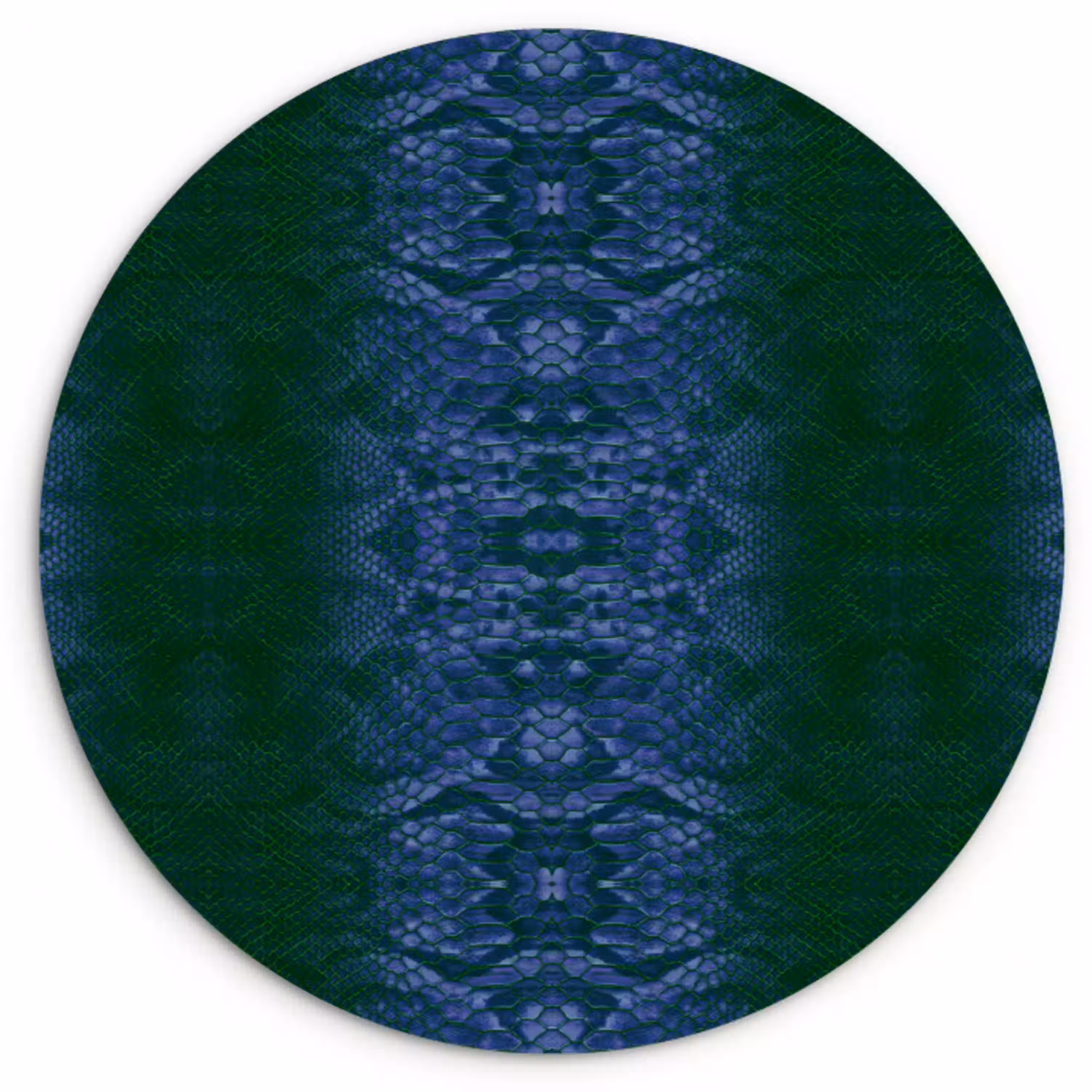 Slang - Boa - Blauw - Groen Wandcirkel plexiglas klein 852 -3d