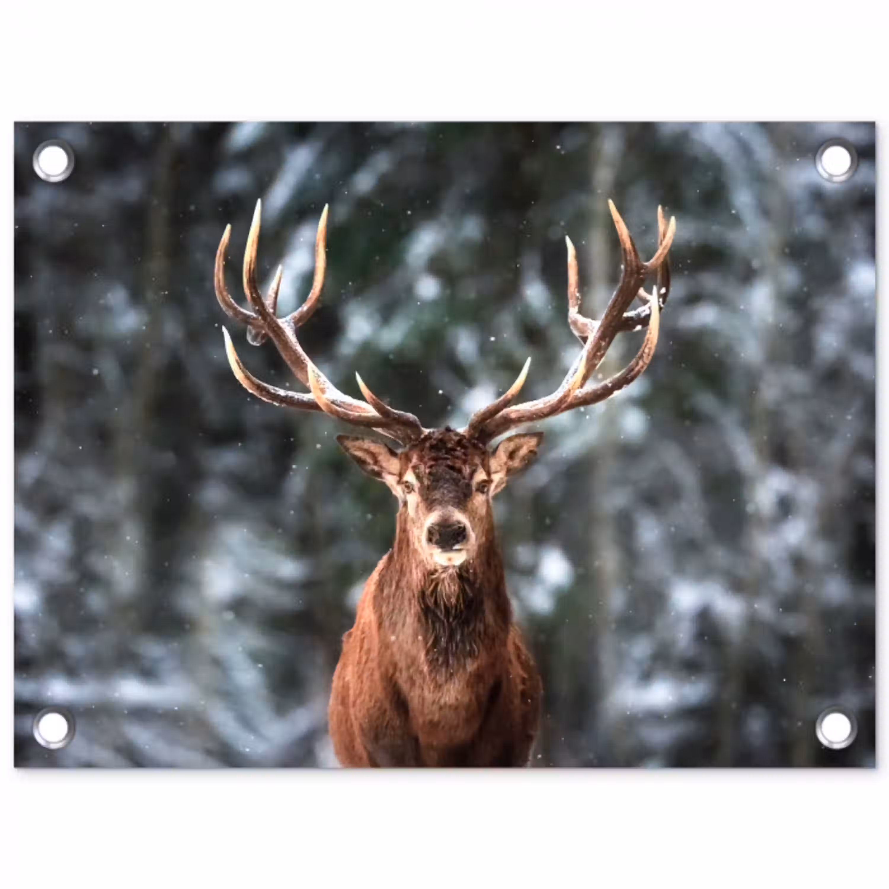 Hert - Winter - Sneeuw - Bos - Natuur - Dier tuinposter los doek klein -3d