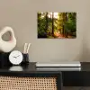 Bos - Pad - Bomen - Groen - Zon - Natuur poster papier klein -sfeer1