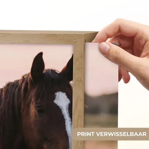 Paard - Zonsondergang - Bruin Light Box met batterij (Wandlamp) middel -USP_websiteprintNL