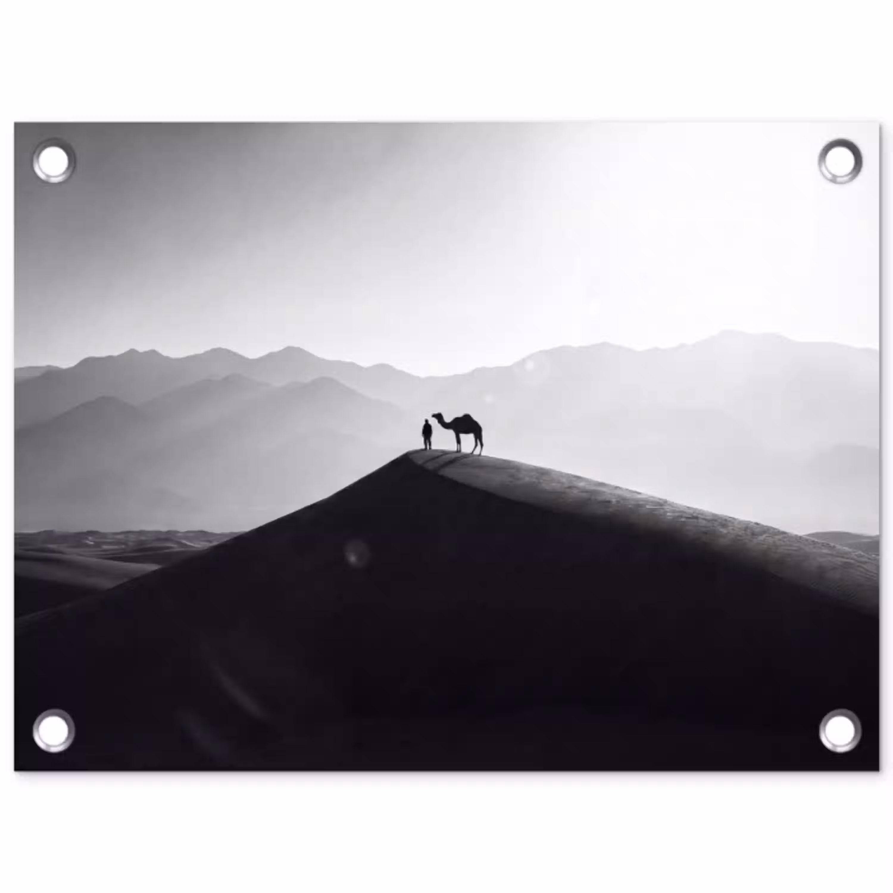 Mens - Kameel - Zandduin - Natuur - Monochroom tuinposter los doek klein -3d