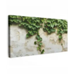 Klimop - Muur - Groen Tuinposter op houten frame 2 cm dik xxl -3d