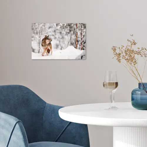 Wolf - Winter - Sneeuw - Natuur - Dieren poster papier klein -sfeer3