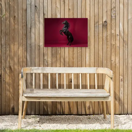 Hengst - Steigert - Rood Tuinposter op houten frame 2 cm dik klein -sfeer4