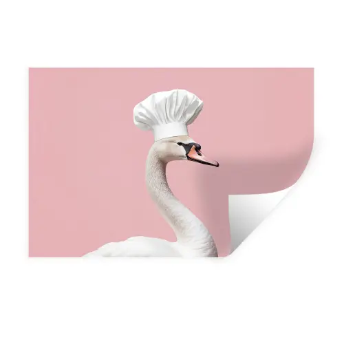 Zwaan - Koksmuts - Mooi - Klassiek Muursticker klein -3d