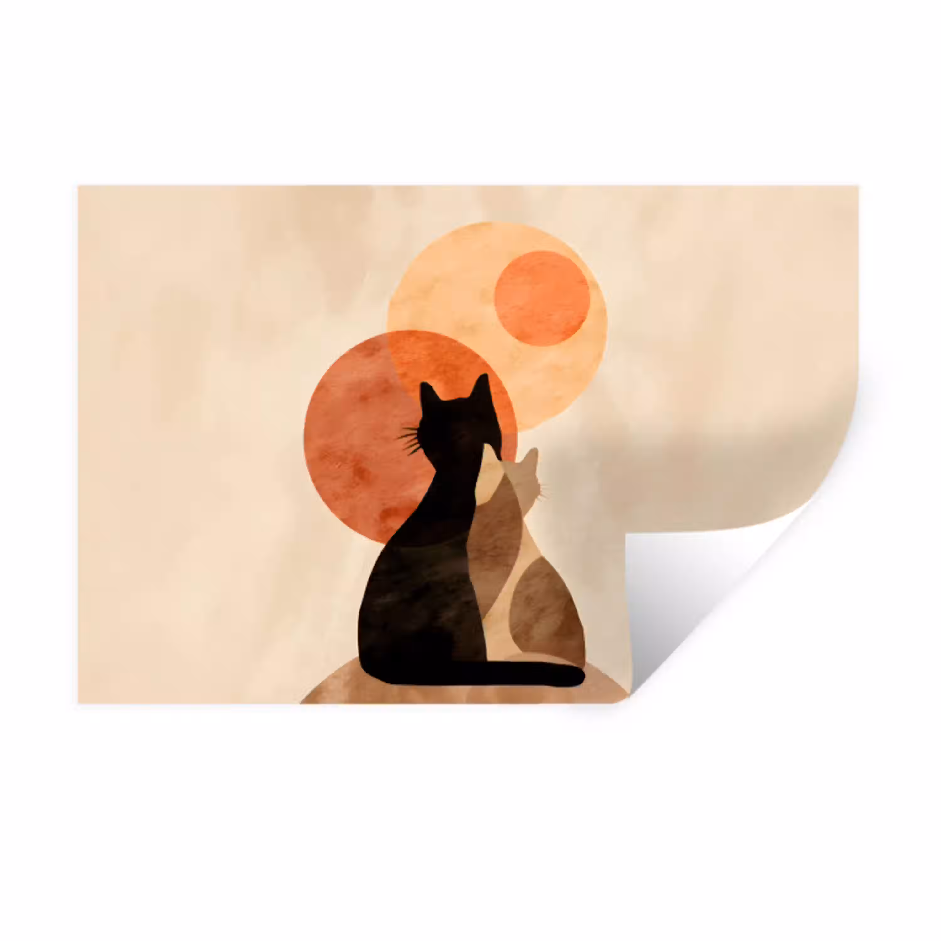 Katten - Zwart - Abstract - Cirkels Muursticker klein -3d