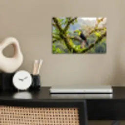 Toekan - Jungle - Natuur - Kleurrijk poster papier klein -sfeer1