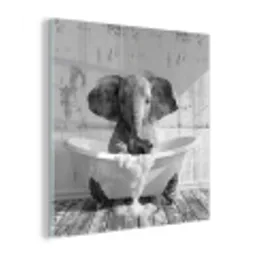 Olifant - Vintage - Dieren - Zwart - Wit plexiglas 5mm klein -z3d