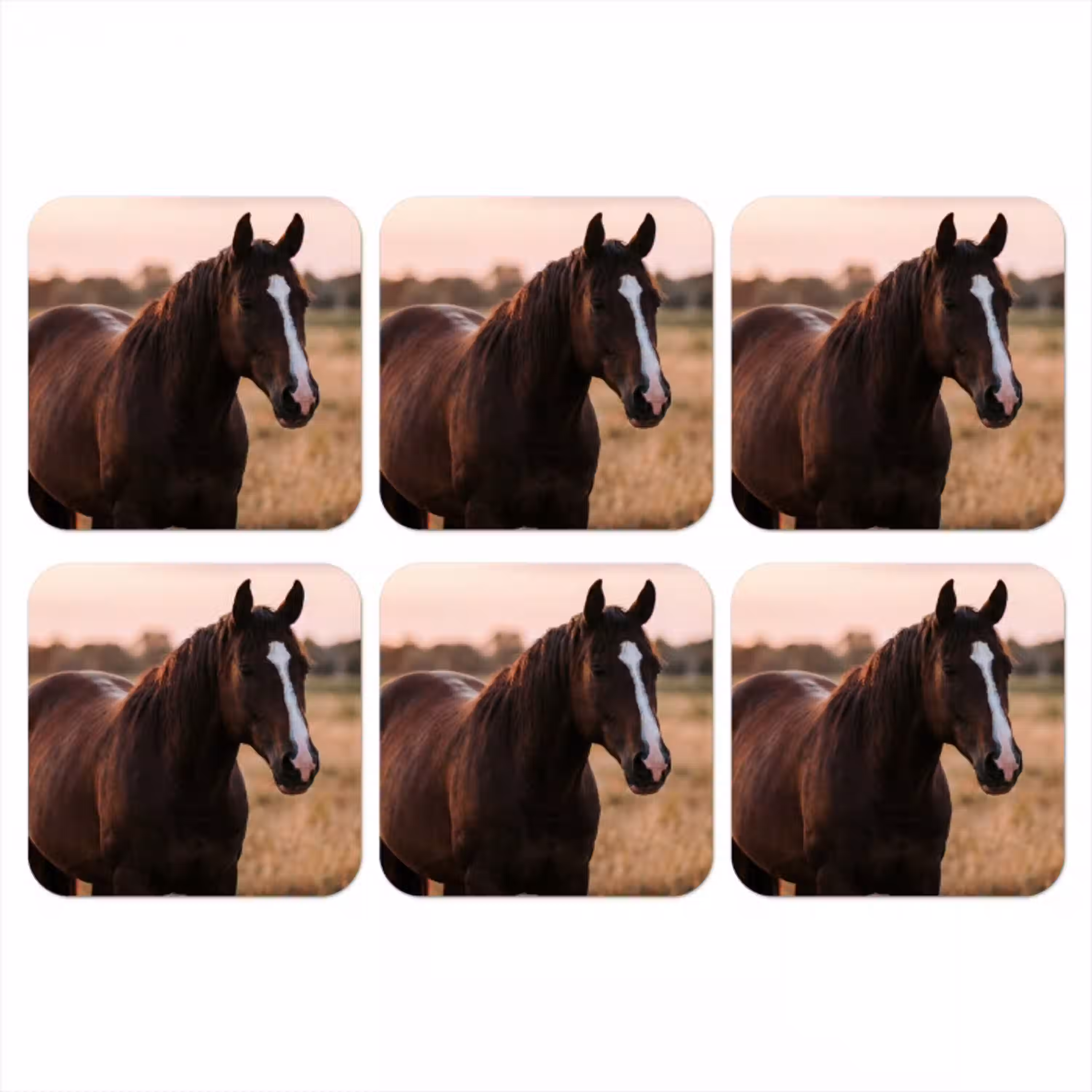 Paard - Zonsondergang - Bruin onderzetter kurk middel -3d