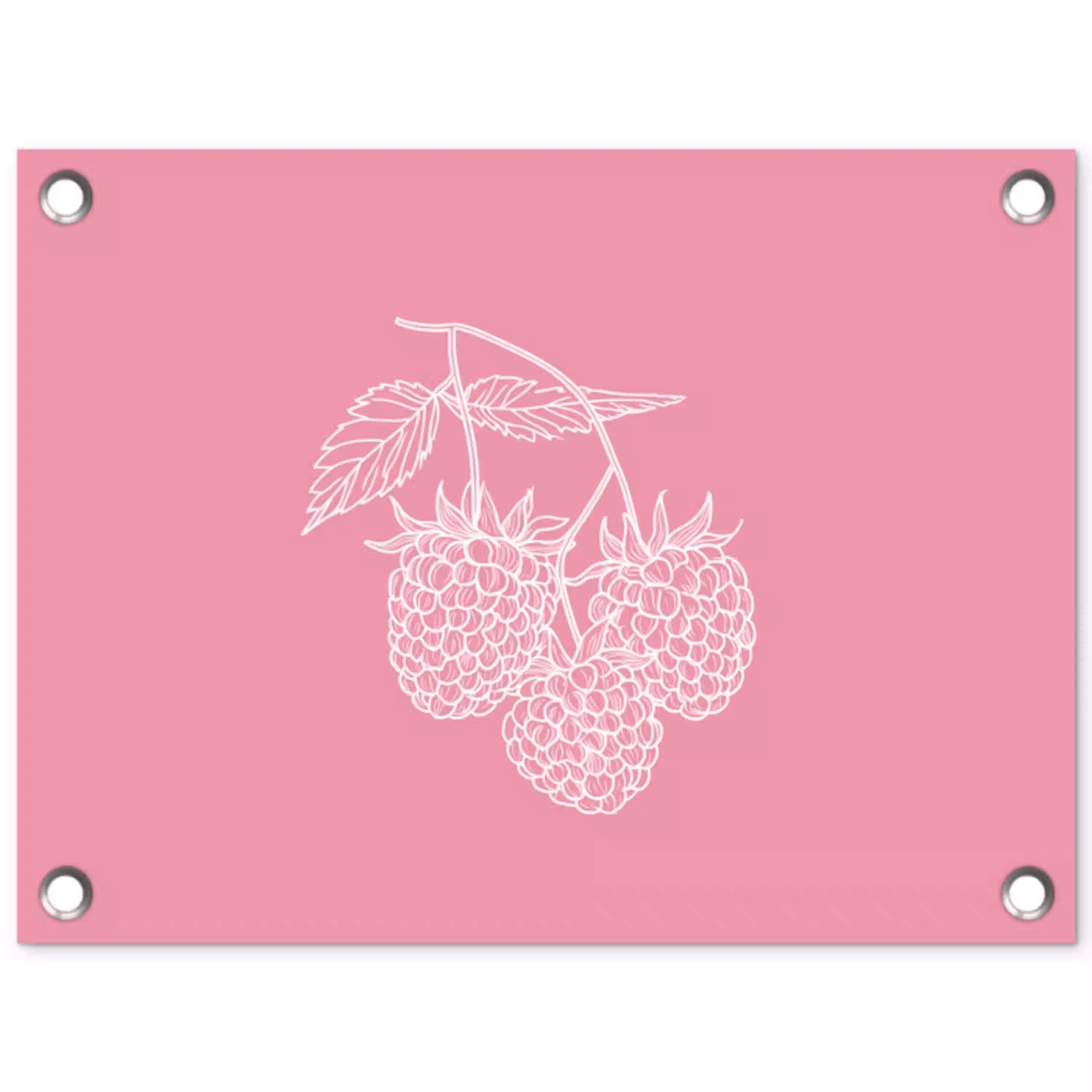 Frambozen - Steel - Getekend - Roze tuinposter los doek klein -3d