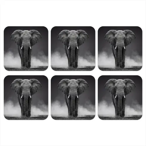 Olifant - Zwart - Wit - Rook onderzetter kurk middel -3d