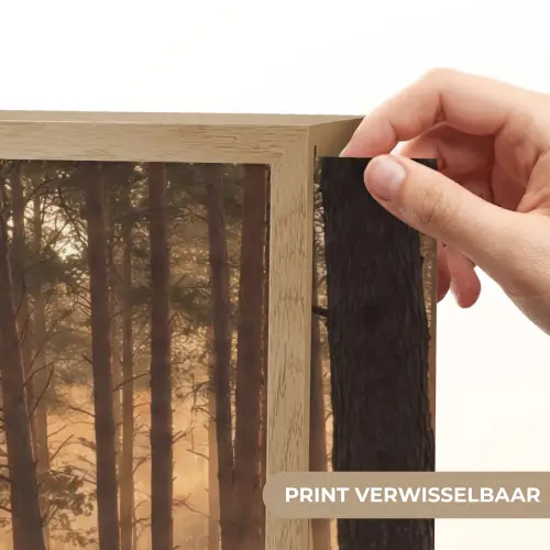 Bos - Mist - Zonlicht Light Box met batterij (Wandlamp) middel -USP_websiteprintNL