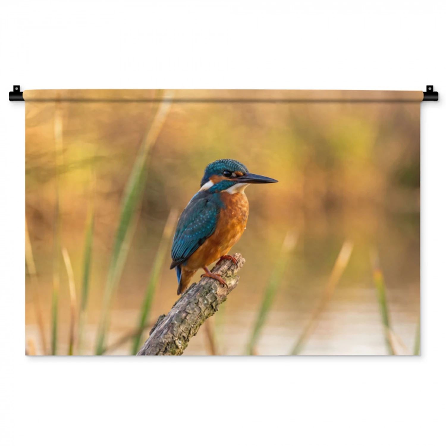 IJsvogel - Tak - Water - Kleurrijk - Levendig Wandkleed katoen middel -zz3d