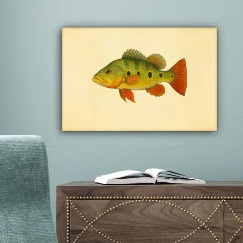 Schubben - Vis - Groen - Illustratie canvas 2cm klein -sfeer4
