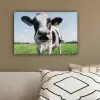 Koe - Weiland - Natuur - Dieren - Gras canvas 2cm klein -sfeer3
