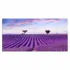 lavendel-natuur-paars-bomen-bloemen Muismat XXL klein -3d_leeg