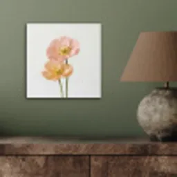 Papavers - Botanisch - Roze aluminium wit klein -sfeer2