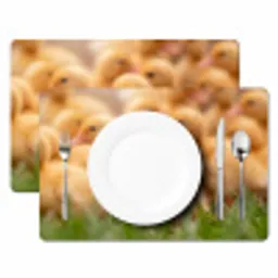 Pijltje - Eend - Natuur - Geel Placemat vinyl groot -zzsfeer2_Kitchenyeah-website