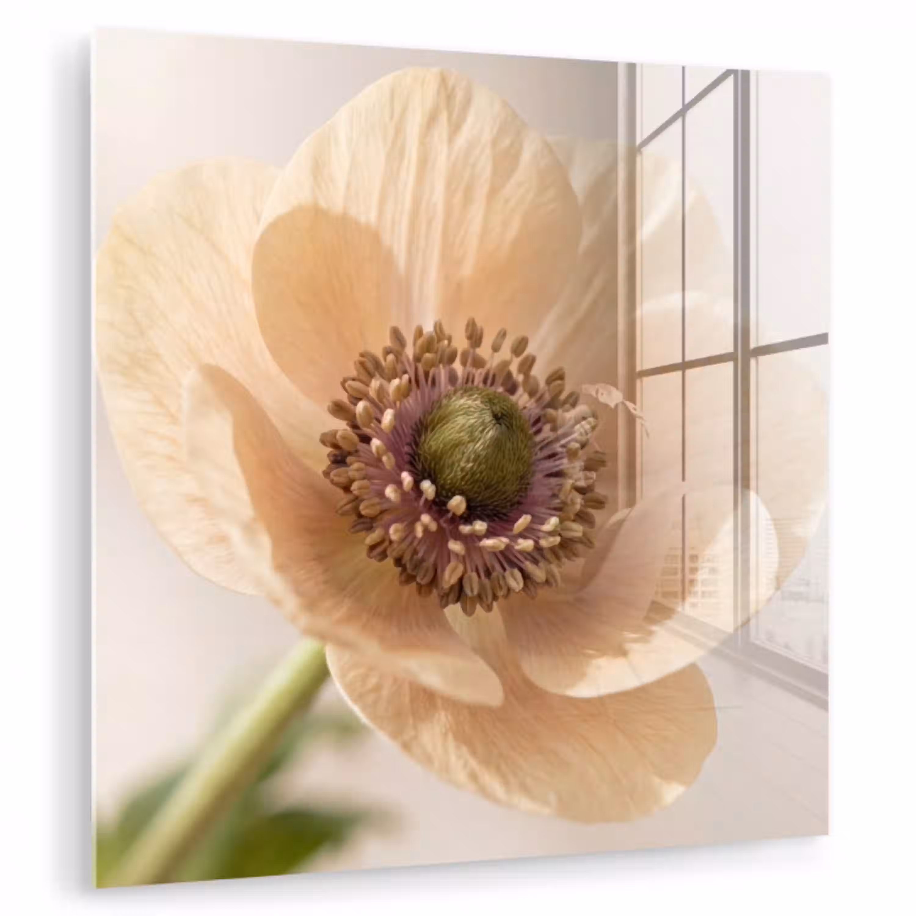 Bloem - Minimalistisch - Groen plexiglas 5mm klein -zzzproduct_nieuw