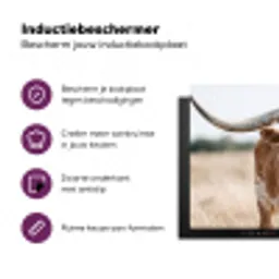 Texas Longhorn - Kalf - Weide - Dieren Inductie beschermer vinyl 3mm klein -zzzzzzz-cc-usp