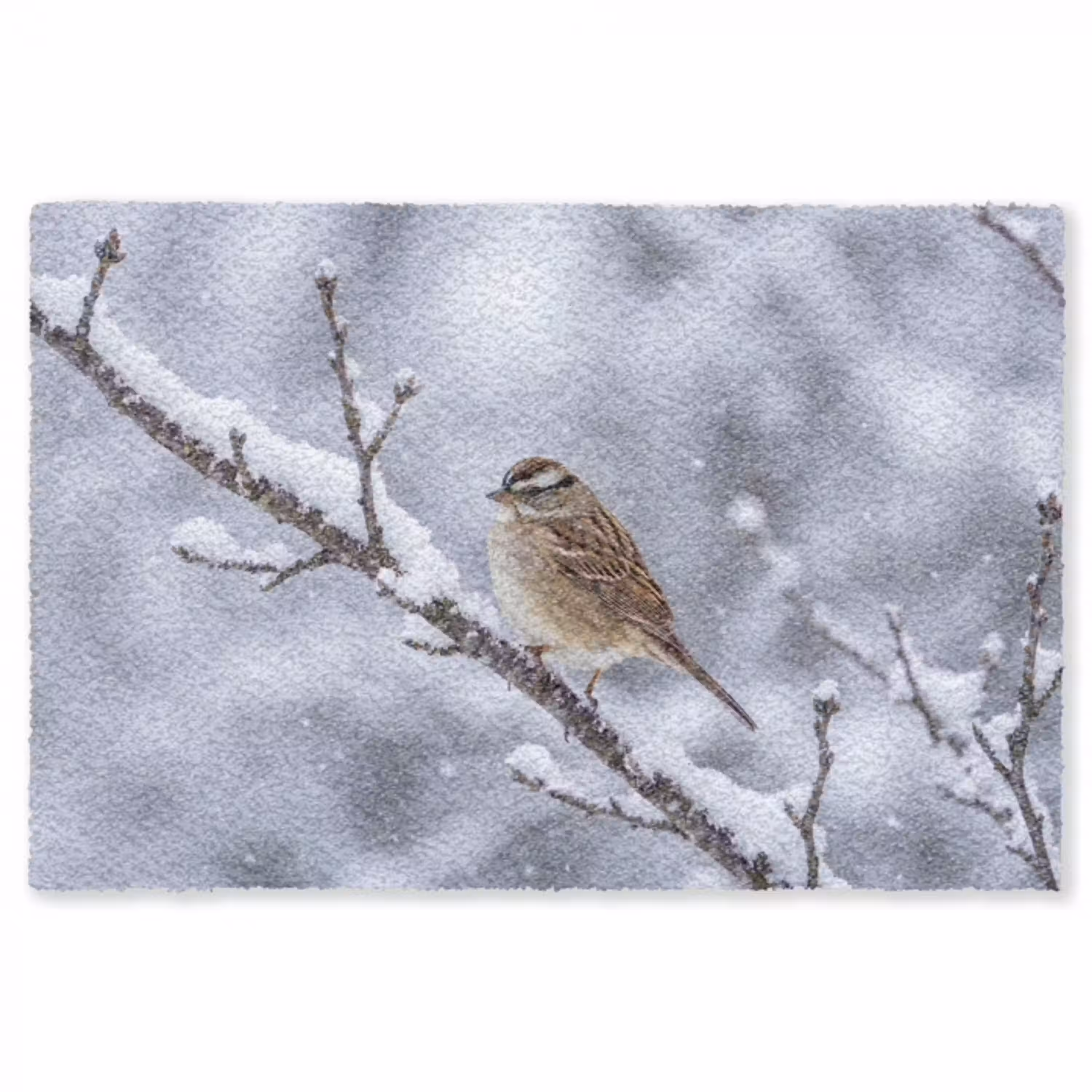 Vogel - Tak - Sneeuw - Winter Vloerkleed Rechthoek klein -3d