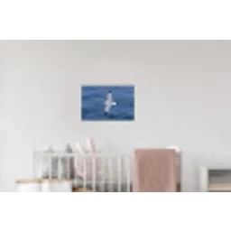 Zeemeeuw - Oceaan - Blauw Muursticker klein -kinderkamer