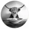 Schotse Hooglander - Spaghetti - Dieren - Zwart wit Wandcirkel plexiglas klein -3d