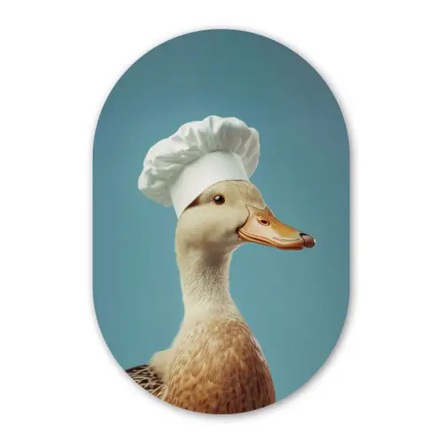 Eend - Koksmuts - Cute - Vogel Wandcirkel Ovaal Glas middel -3d
