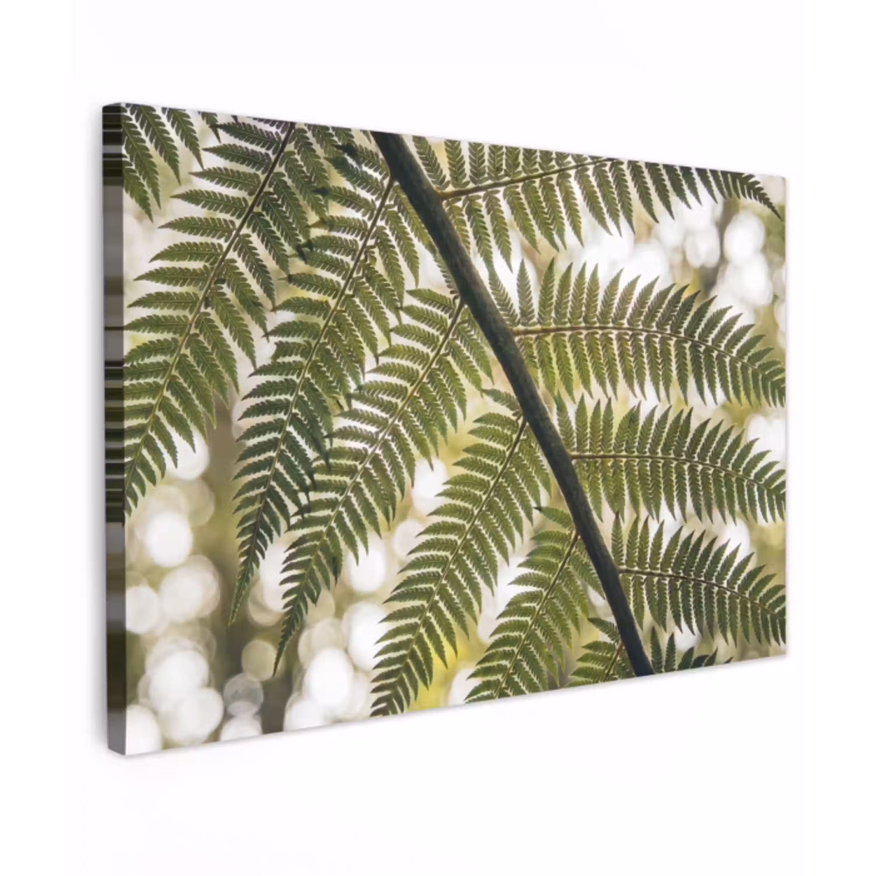 Plant - Blad - Natuur - Groen - Detail canvas 2cm klein -z3d