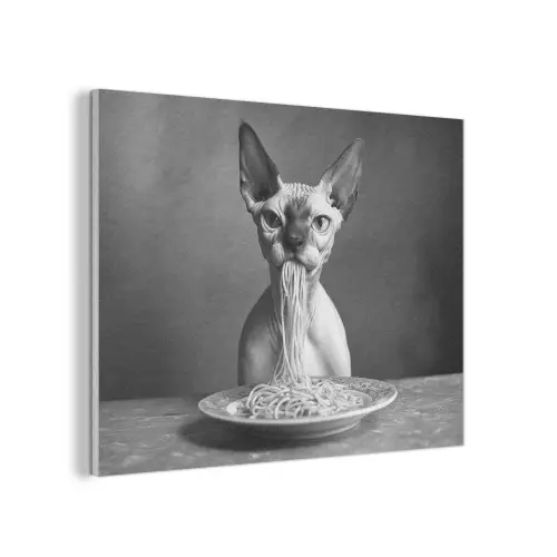Sphynx - Kat - Dieren - Humor - Spaghetti - Zwart Wit PET vilt klein -3d