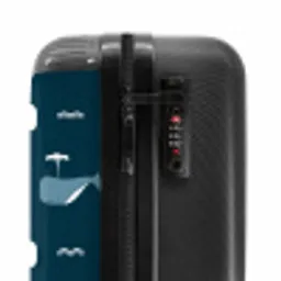 Walvisweelde NBS - Handbagage koffer - Unisex middel -slot