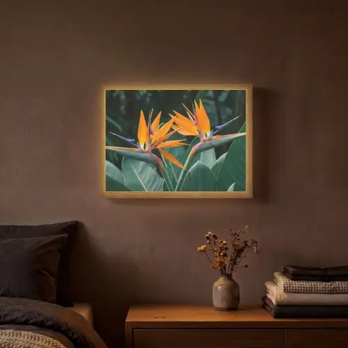 Paradijsvogel - Bloem - Exotisch Light Box met batterij (Wandlamp) middel -sfeer4