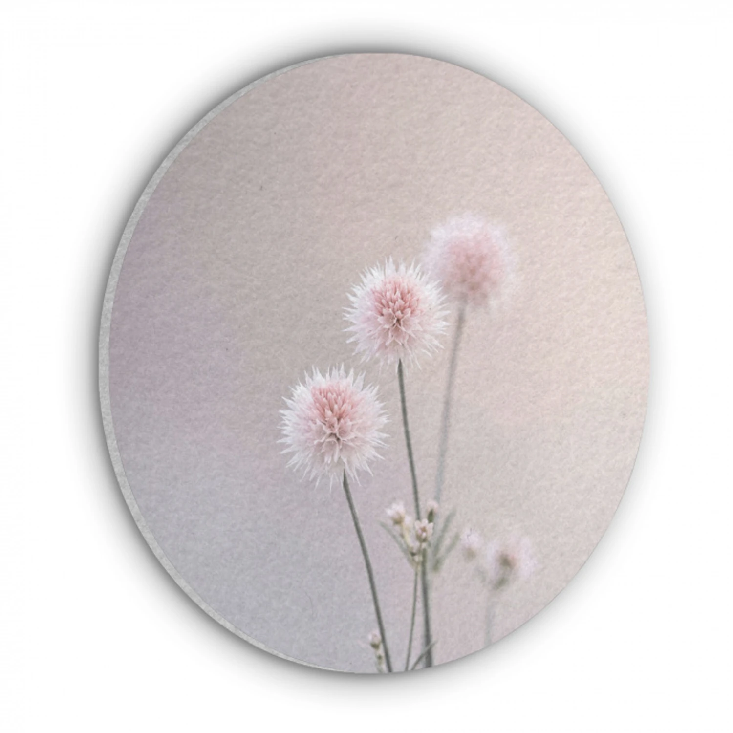 Bloemen - Bollen - Roze Akoestische PET Vilt - Rond klein -3d