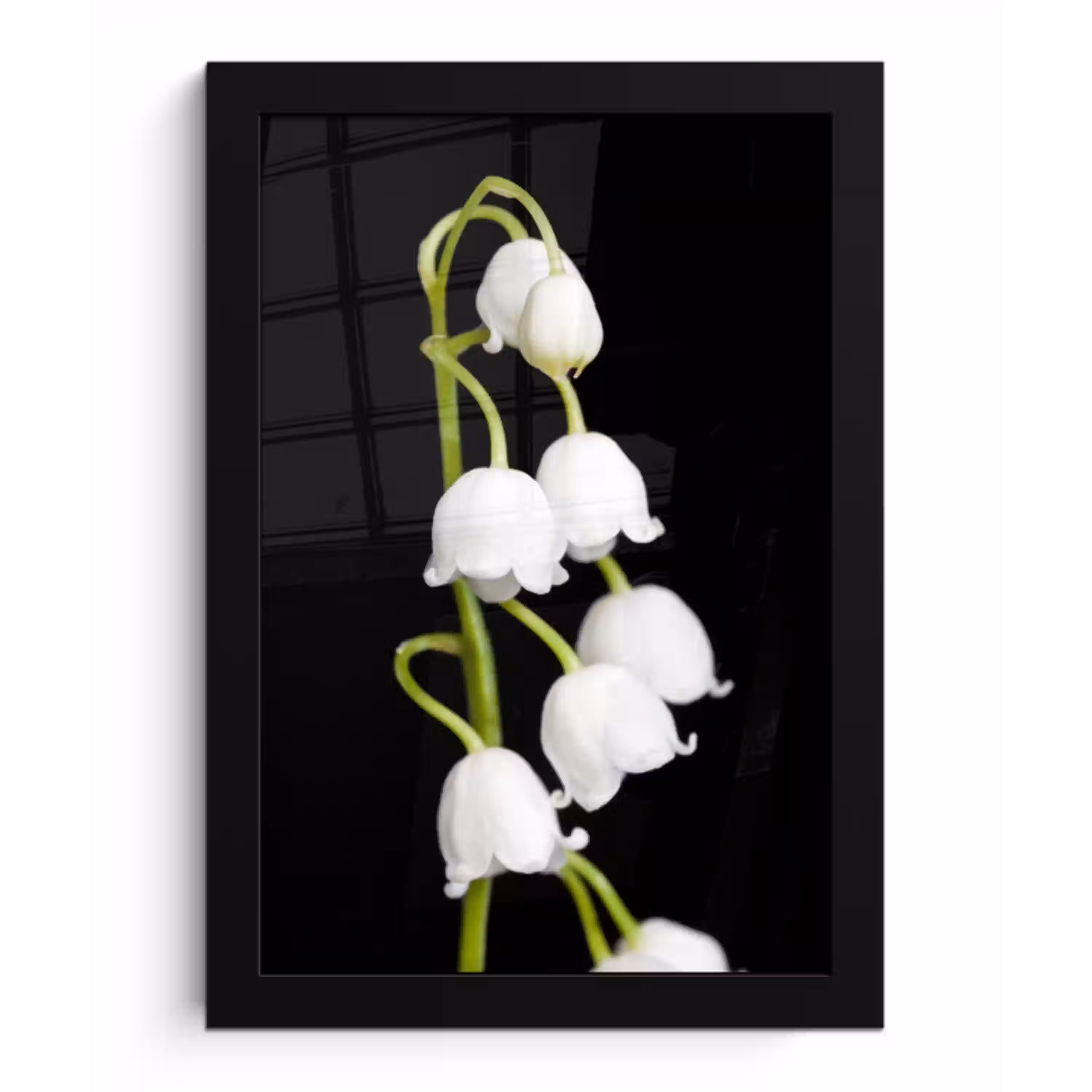 Lelietjes van dalen - Bloemen - Zwart - Flora fotolijst zwart zonder passe partout klein -3d