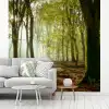 Bos - Zon - Seizoenen - Landschap fotobehang vinyl groot -woonkamer