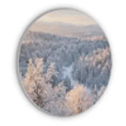 Bos - Bergen - Goud - Winter - Warm Akoestische PET Vilt - Rond klein -3d