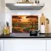 Landschap - Afrikaans - Zon Inductie beschemer met haakjes klein -sfeer2