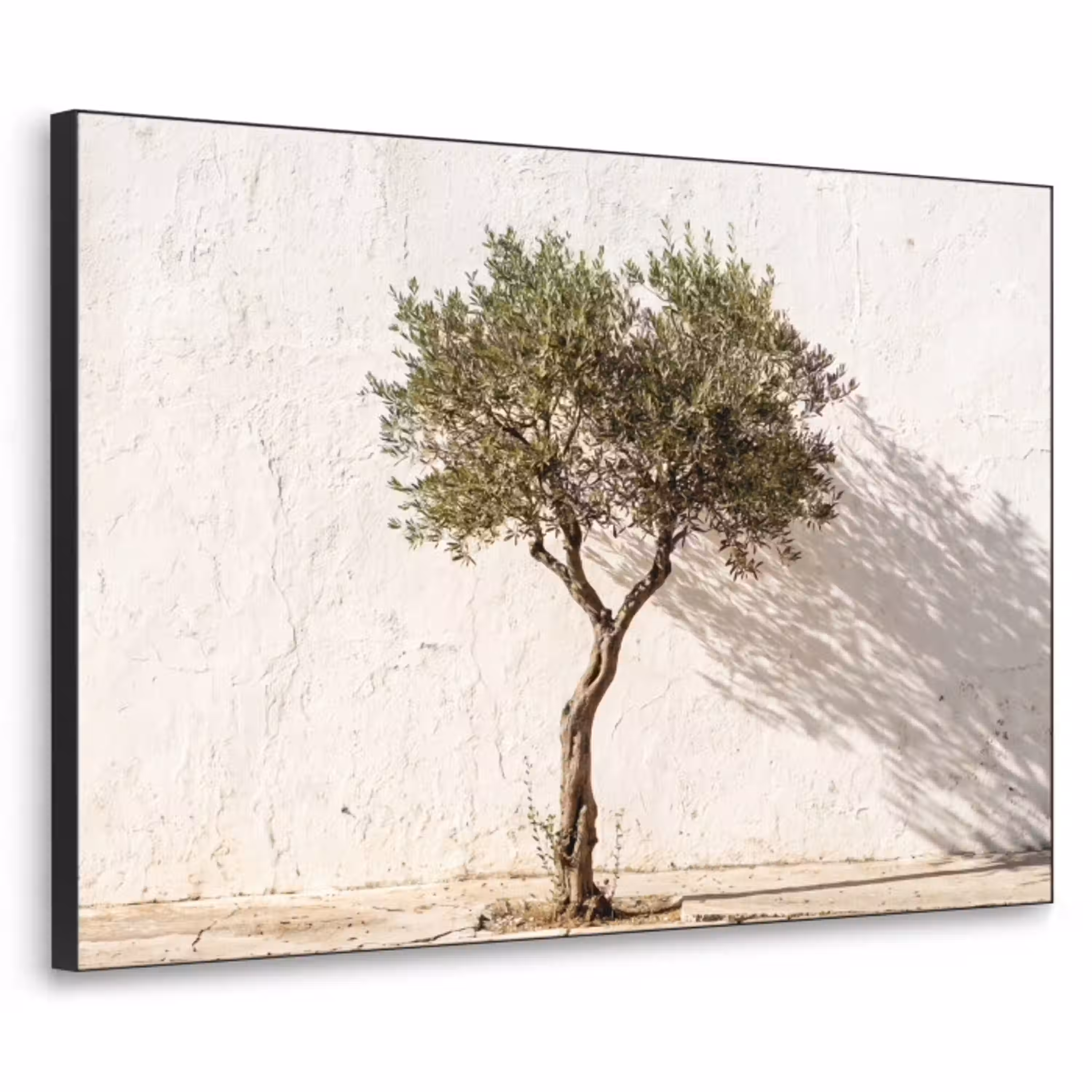 Olijfboom - muur - wit Textielframe zwart klein -3d