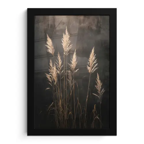 Siergras - Pluimen - Verlichting - Zwart fotolijst zwart zonder passe partout klein -3d