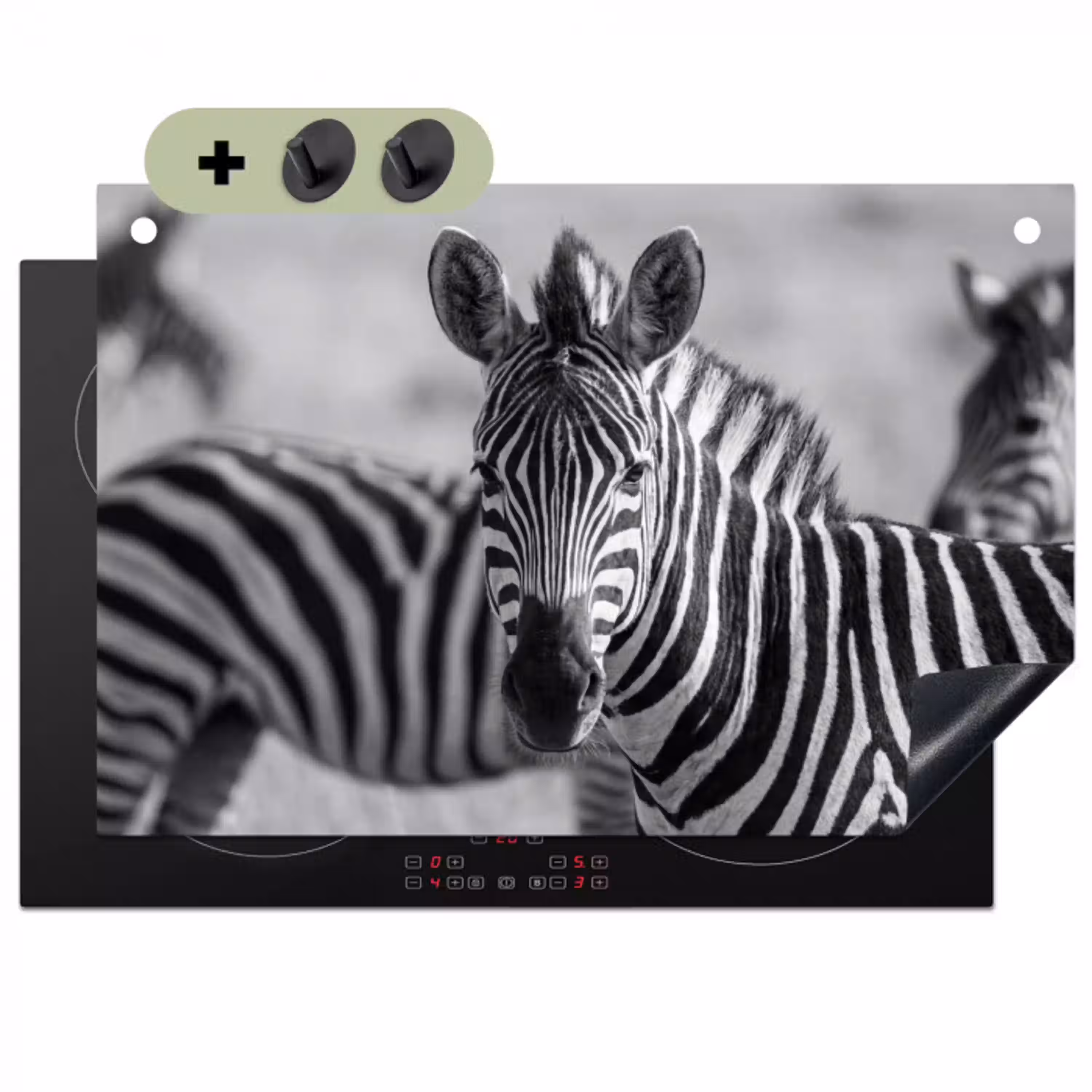 Zebra's - Zwart - Wit Inductie beschemer met haakjes klein -3d