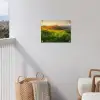 Gras - Heuvels - Zon - Natuur - Landschap tuinposter los doek klein -sfeer8