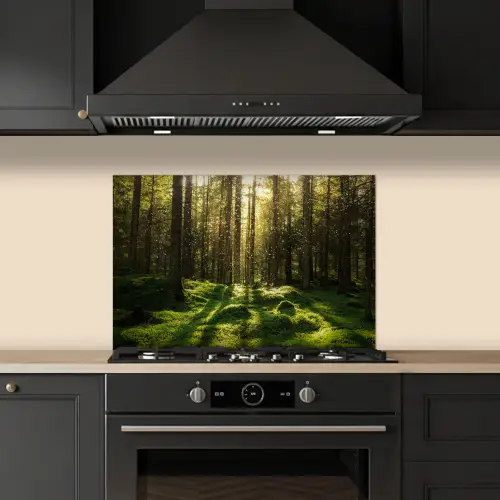 Bomen - Bos - Mos - Planten - Zon - Natuur keuken achterwand spatscherm klein -sfeer1