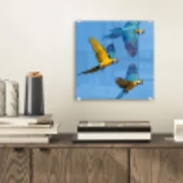 Papagaai - Vliegen - Blauw - Geel plexiglas 5mm klein -sfeer1