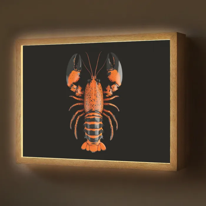 Kreeft - Oranje - Zwart - Modern Light Box met batterij (Wandlamp) middel -z3d_website