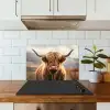 Schotse hooglander - Landschap - Dier keuken achterwand spatscherm klein -sfeer2