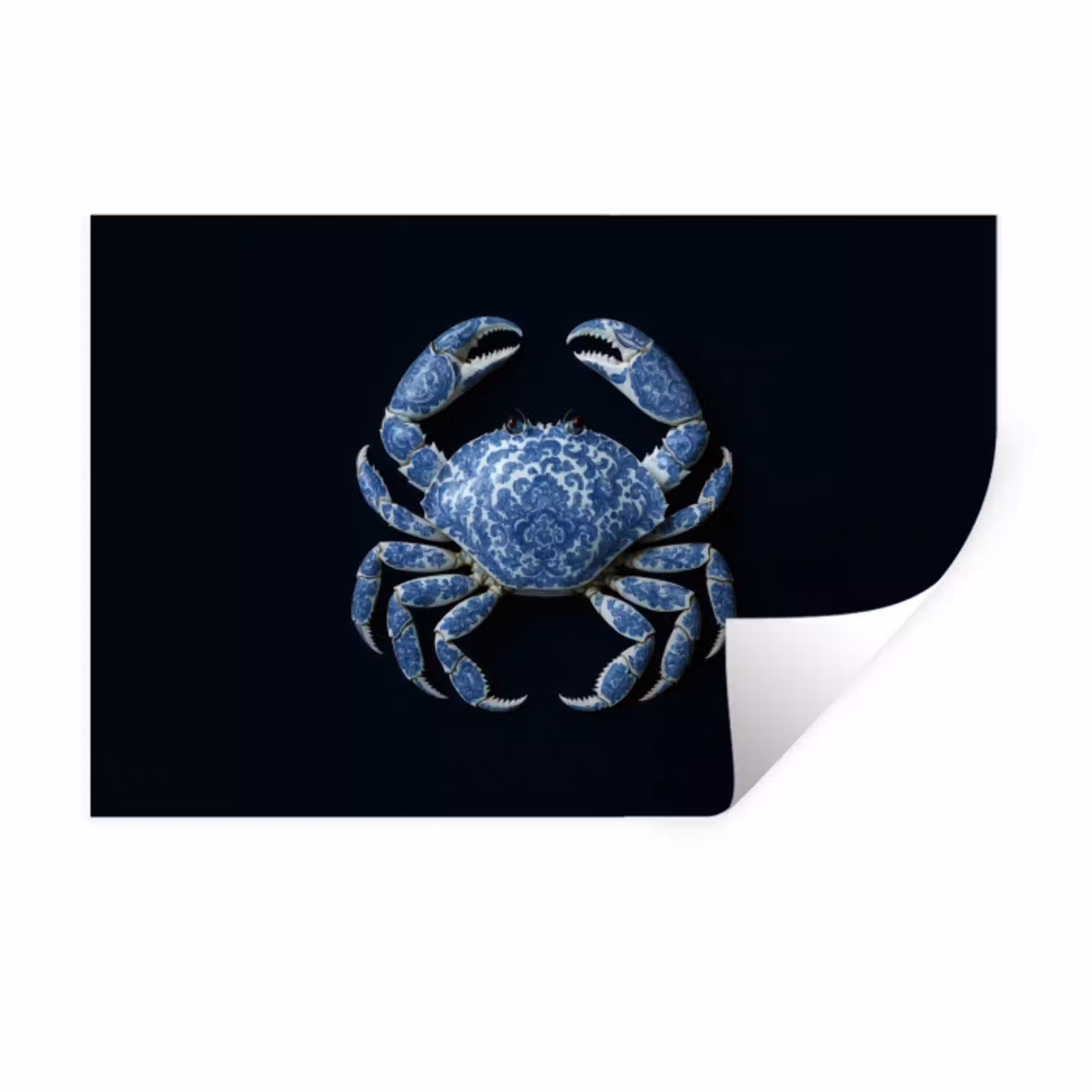 Krab - Delfts blauw - Dieren Muursticker klein -3d